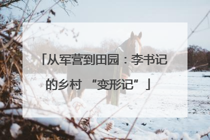 从军营到田园：李书记的乡村 “变形记”
