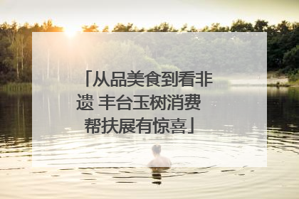 从品美食到看非遗 丰台玉树消费帮扶展有惊喜