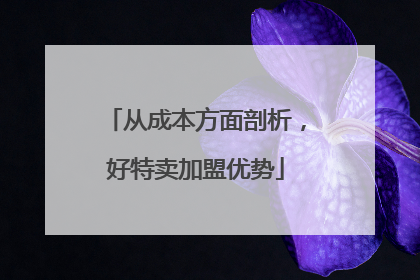 从成本方面剖析，好特卖加盟优势