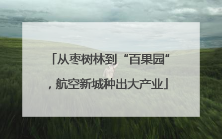 从枣树林到“百果园”，航空新城种出大产业