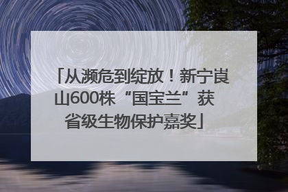 从濒危到绽放！新宁崀山600株“国宝兰”获省级生物保护嘉奖