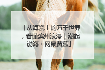 从海瓷上的万千世界，看懂滨州浪漫｜潮起渤海・网聚黄蓝