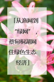 从渔网到“绿网”，蔡甸桐湖网住绿色生态经济