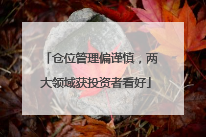 仓位管理偏谨慎，两大领域获投资者看好