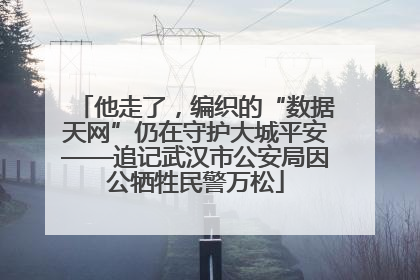 他走了，编织的“数据天网”仍在守护大城平安——追记武汉市公安局因公牺牲民警万松