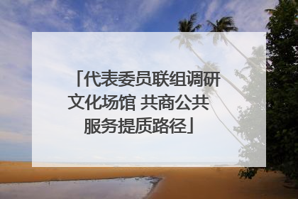 代表委员联组调研文化场馆 共商公共服务提质路径