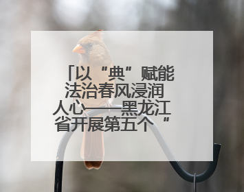 以“典”赋能 法治春风浸润人心——黑龙江省开展第五个“民法典宣传月”活动综述