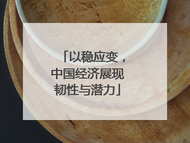 以稳应变,中国经济展现韧性与潜力