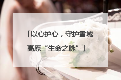 以心护心，守护雪域高原“生命之脉”