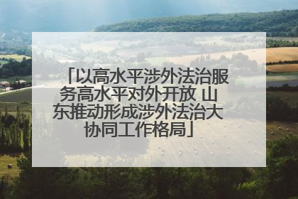 以高水平涉外法治服务高水平对外开放 山东推动形成涉外法治大协同工作格局