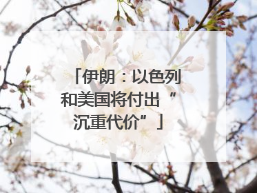 伊朗：以色列和美国将付出“沉重代价”
