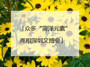 众多“菏泽元素”亮相深圳文博会