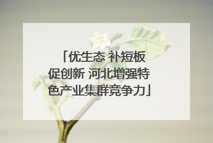 优生态 补短板 促创新 河北增强特色产业集群竞争力