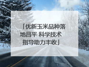 优新玉米品种落地昌平 科学技术指导助力丰收