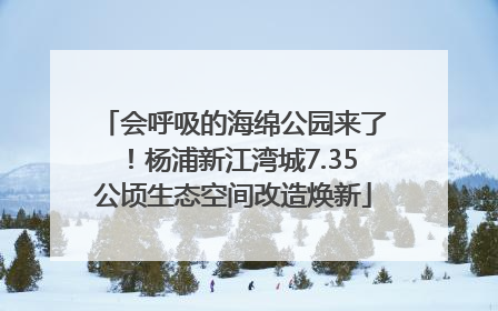 会呼吸的海绵公园来了！杨浦新江湾城7.35公顷生态空间改造焕新