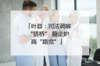 叶县：司法调解“搭桥” 稳企护商“路宽”