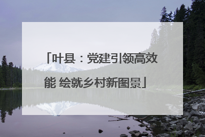 叶县：党建引领高效能 绘就乡村新图景