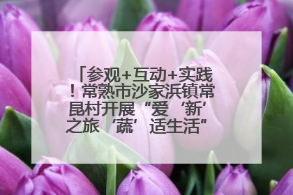 参观+互动+实践！常熟市沙家浜镇常昆村开展“爱‘新’之旅‘蔬’适生活”参观学习活动