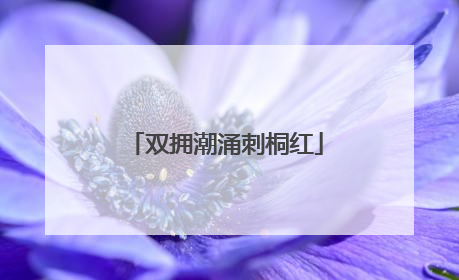 双拥潮涌刺桐红