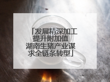 发展精深加工 提升附加值 湖南生猪产业谋求全链条转型