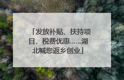 发放补贴、扶持项目、税费优惠……湖北喊您返乡创业