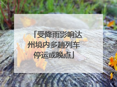受降雨影响达州境内多趟列车停运或晚点