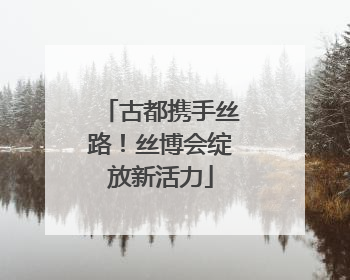 古都携手丝路！丝博会绽放新活力