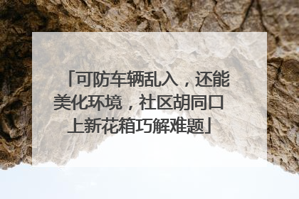可防车辆乱入，还能美化环境，社区胡同口上新花箱巧解难题