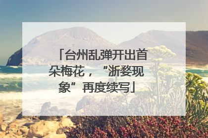 台州乱弹开出首朵梅花，“浙婺现象”再度续写