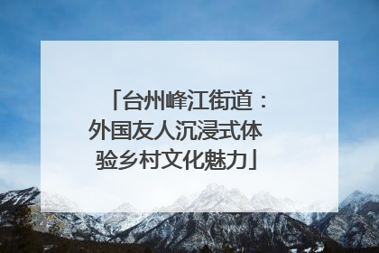 台州峰江街道：外国友人沉浸式体验乡村文化魅力
