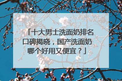 十大男士洗面奶排名口碑揭晓，国产洗面奶哪个好用又便宜？