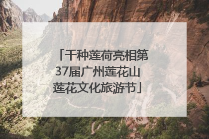 千种莲荷亮相第37届广州莲花山莲花文化旅游节