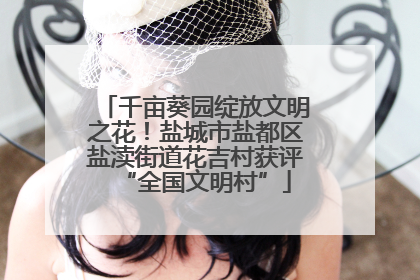 千亩葵园绽放文明之花！盐城市盐都区盐渎街道花吉村获评“全国文明村”