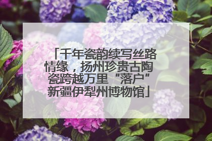 千年瓷韵续写丝路情缘，扬州珍贵古陶瓷跨越万里“落户”新疆伊犁州博物馆