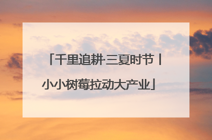 千里追耕·三夏时节丨小小树莓拉动大产业