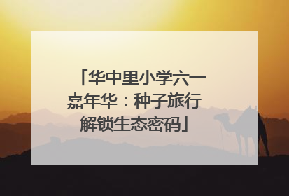 华中里小学六一嘉年华：种子旅行解锁生态密码