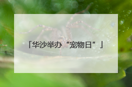 华沙举办“宠物日”