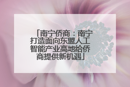 南宁侨商：南宁打造面向东盟人工智能产业高地给侨商提供新机遇