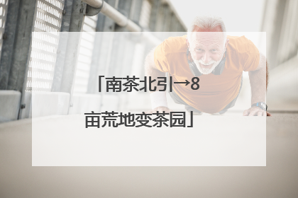 南茶北引→8亩荒地变茶园