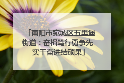 南阳市宛城区五里堡街道：奋楫笃行勇争先 实干奋进结硕果