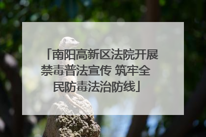 南阳高新区法院开展禁毒普法宣传 筑牢全民防毒法治防线