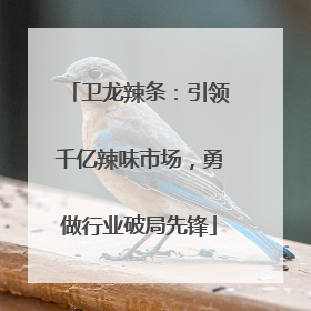 卫龙辣条：引领千亿辣味市场，勇做行业破局先锋