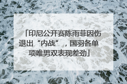 印尼公开赛陈雨菲因伤退出“内战”，国羽各单项唯男双表现差劲