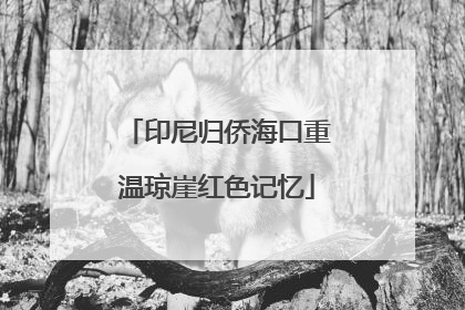 印尼归侨海口重温琼崖红色记忆