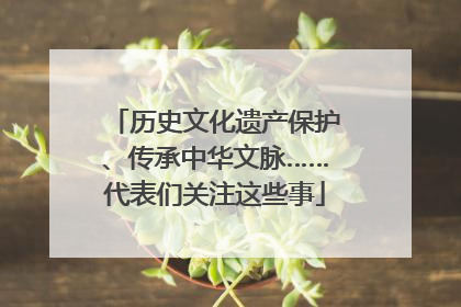 历史文化遗产保护、传承中华文脉……代表们关注这些事