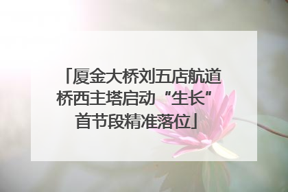 厦金大桥刘五店航道桥西主塔启动“生长” 首节段精准落位