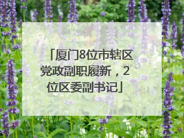 厦门8位市辖区党政副职履新，2位区委副书记