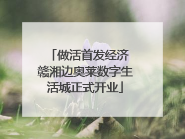 做活首发经济 赣湘边奥莱数字生活城正式开业