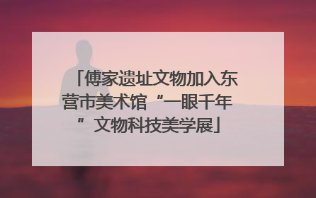 傅家遗址文物加入东营市美术馆“一眼千年”文物科技美学展