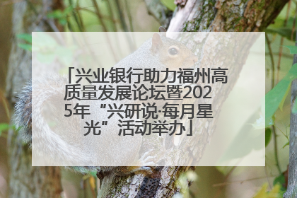 兴业银行助力福州高质量发展论坛暨2025年“兴研说·每月星光”活动举办